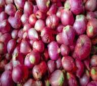 Bawang Merah